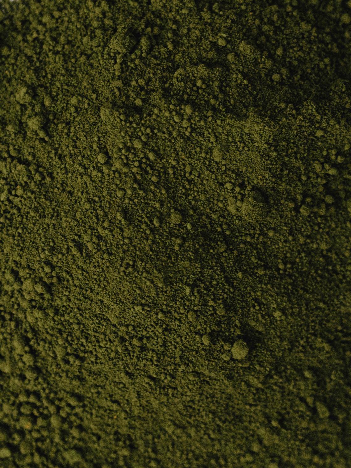 PIGMENT