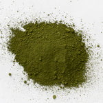 Load image into Gallery viewer, Moss Pigment
