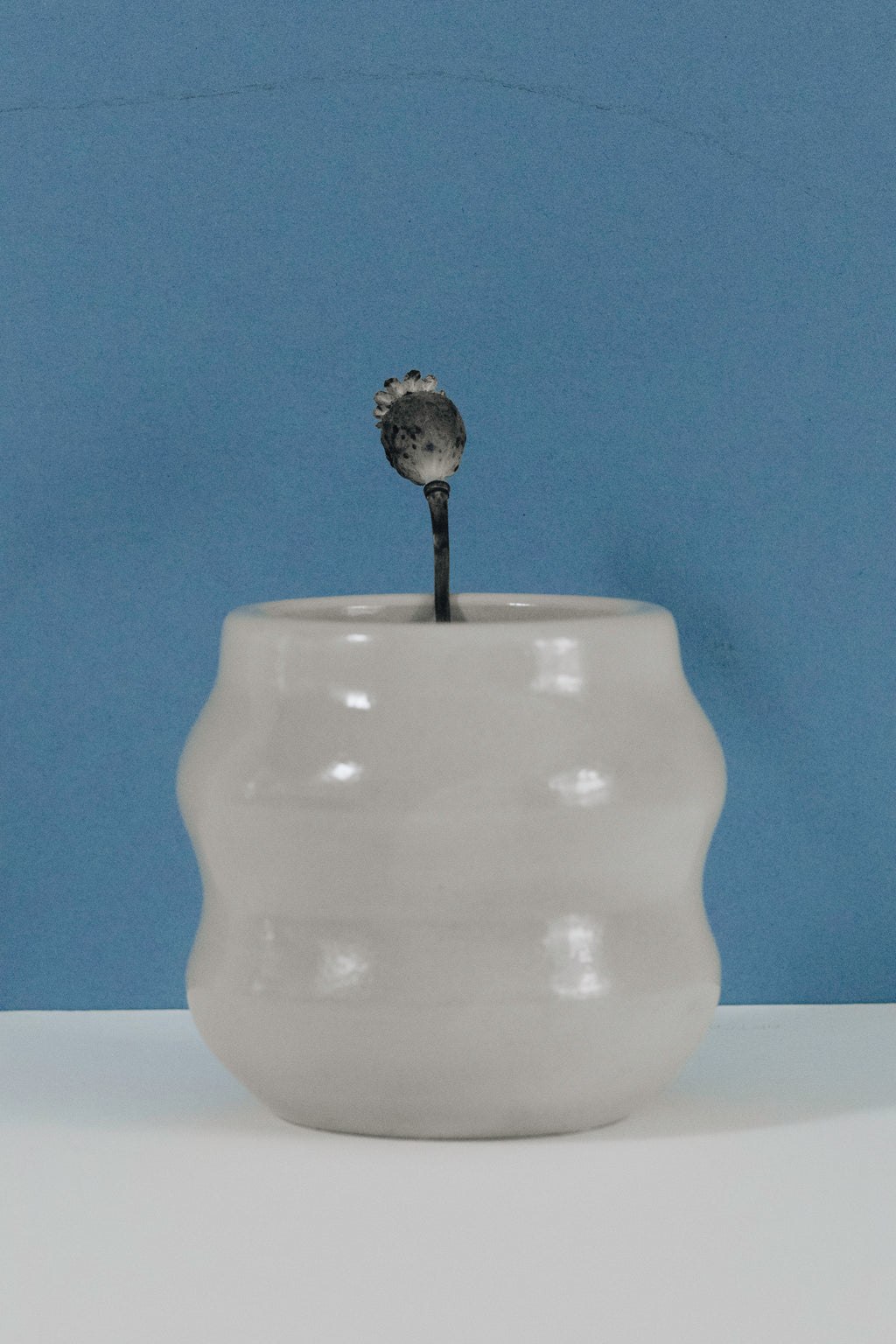The Bubble Vessel (PRE-ORDER) Available in 10 Colors